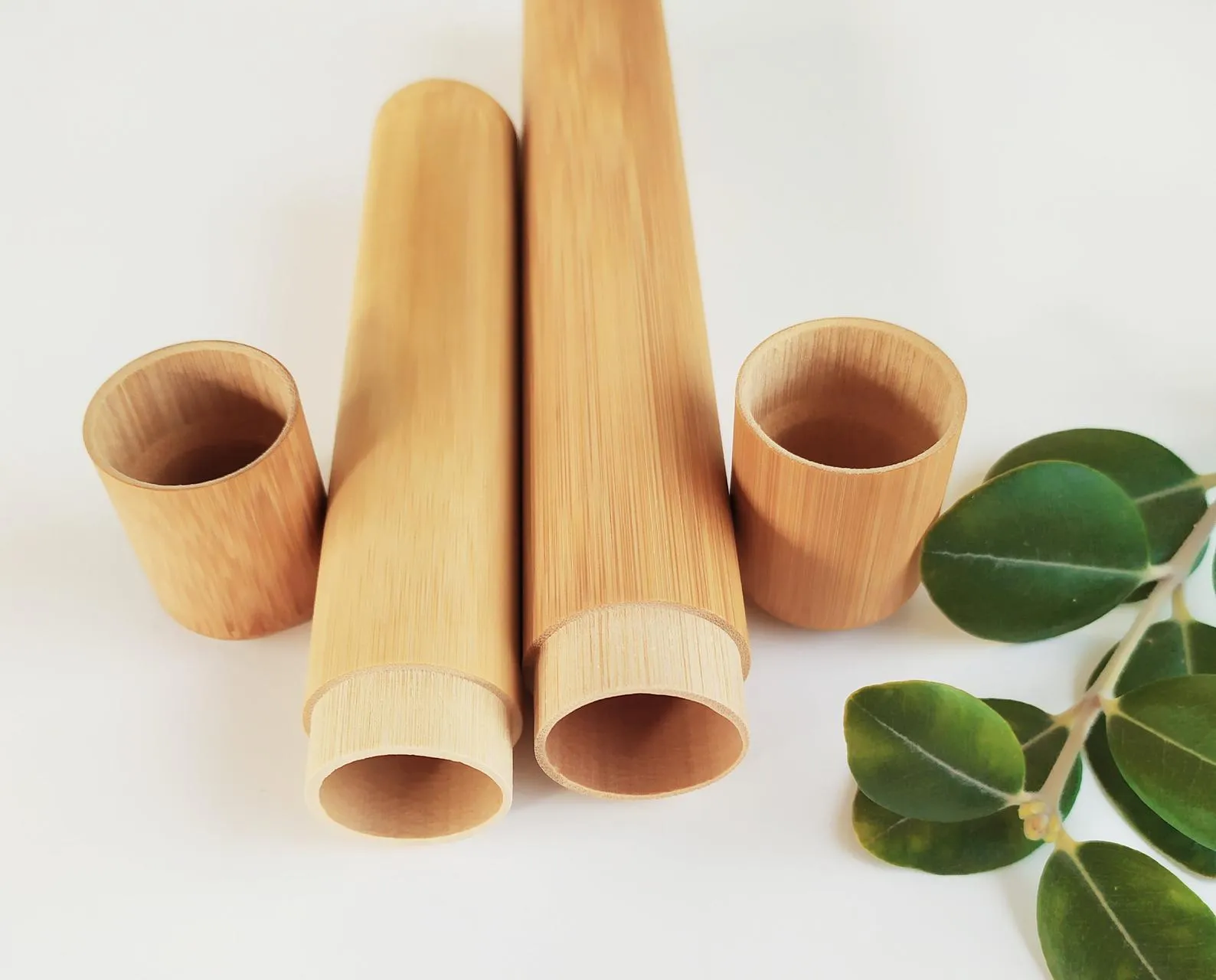 Bamboo Toothbrush Case