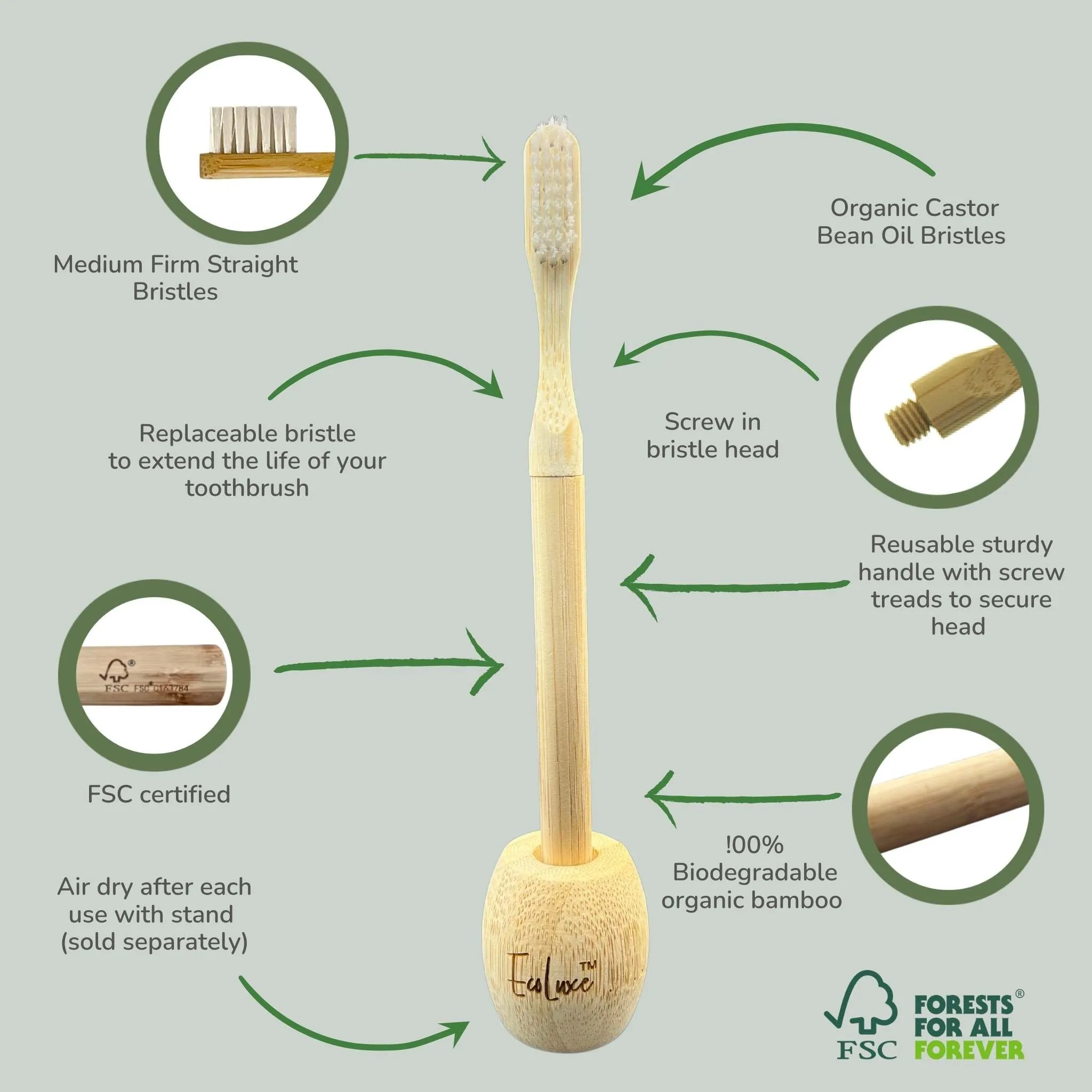 Bamboo Toothbrush Replaceable Bristle Adult's & Kid's Size (2 pack)