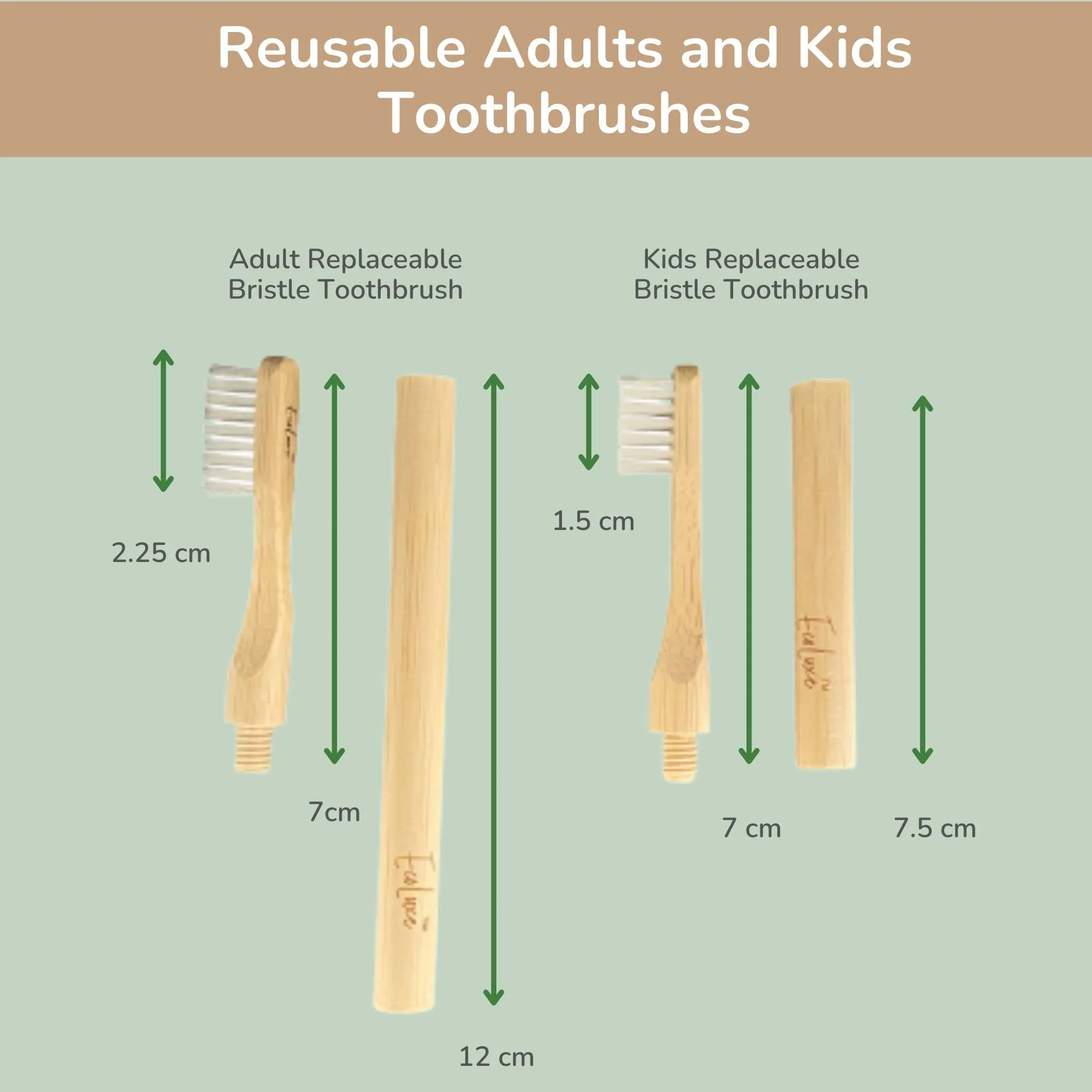 Bamboo Toothbrush Replaceable Bristle Adult's & Kid's Size (2 pack)